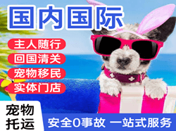 海浪空运国际宠物托运 【国
